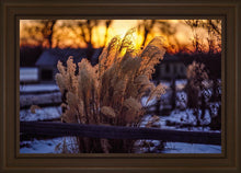 Load image into Gallery viewer, Plate 1 - Sunset Grasses