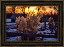 Load image into Gallery viewer, Plate 1 - Sunset Grasses