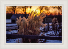 Load image into Gallery viewer, Plate 1 - Sunset Grasses