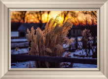 Load image into Gallery viewer, Plate 1 - Sunset Grasses