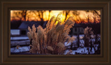 Load image into Gallery viewer, Plate 1 - Sunset Grasses