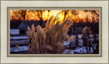 Load image into Gallery viewer, Plate 1 - Sunset Grasses