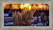 Load image into Gallery viewer, Plate 1 - Sunset Grasses