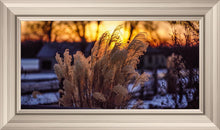 Load image into Gallery viewer, Plate 1 - Sunset Grasses