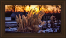 Load image into Gallery viewer, Plate 1 - Sunset Grasses