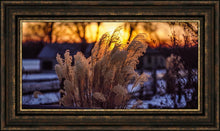Load image into Gallery viewer, Plate 1 - Sunset Grasses
