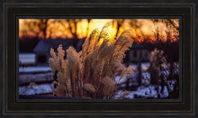 Load image into Gallery viewer, Plate 1 - Sunset Grasses