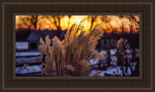 Load image into Gallery viewer, Plate 1 - Sunset Grasses