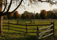 Load image into Gallery viewer, Plate 6 - The Gates are Open