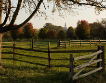 Load image into Gallery viewer, Plate 6 - The Gates are Open