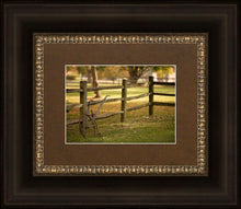 Load image into Gallery viewer, Plate 5 - Vintage Garden Cultivator