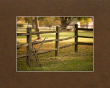 Load image into Gallery viewer, Plate 5 - Vintage Garden Cultivator