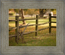 Load image into Gallery viewer, Plate 5 - Vintage Garden Cultivator