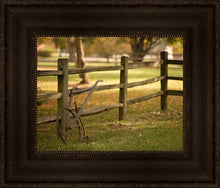 Load image into Gallery viewer, Plate 5 - Vintage Garden Cultivator