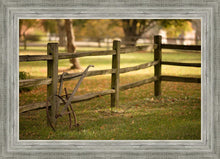 Load image into Gallery viewer, Plate 5 - Vintage Garden Cultivator