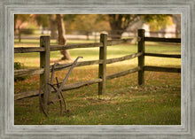 Load image into Gallery viewer, Plate 5 - Vintage Garden Cultivator