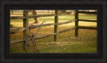 Load image into Gallery viewer, Plate 5 - Vintage Garden Cultivator