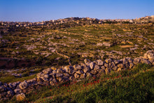 Load image into Gallery viewer, Plate 1 - Bethlehem in Early Spring