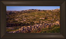 Load image into Gallery viewer, Plate 1 - Bethlehem in Early Spring