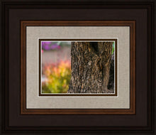 Load image into Gallery viewer, Plate 11 - Gethsemane Impression