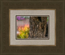 Load image into Gallery viewer, Plate 11 - Gethsemane Impression