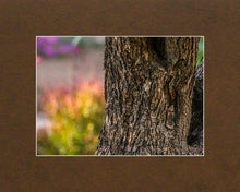 Load image into Gallery viewer, Plate 11 - Gethsemane Impression