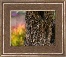 Load image into Gallery viewer, Plate 11 - Gethsemane Impression