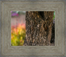 Load image into Gallery viewer, Plate 11 - Gethsemane Impression