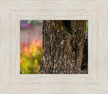Load image into Gallery viewer, Plate 11 - Gethsemane Impression