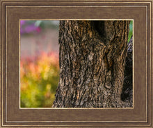 Load image into Gallery viewer, Plate 11 - Gethsemane Impression