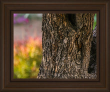 Load image into Gallery viewer, Plate 11 - Gethsemane Impression
