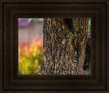 Load image into Gallery viewer, Plate 11 - Gethsemane Impression