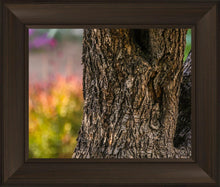 Load image into Gallery viewer, Plate 11 - Gethsemane Impression