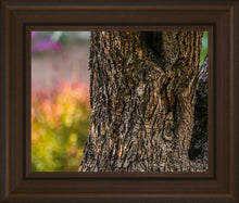 Load image into Gallery viewer, Plate 11 - Gethsemane Impression