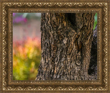 Load image into Gallery viewer, Plate 11 - Gethsemane Impression