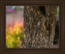 Load image into Gallery viewer, Plate 11 - Gethsemane Impression