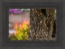 Load image into Gallery viewer, Plate 11 - Gethsemane Impression