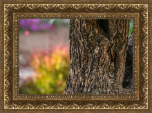 Load image into Gallery viewer, Plate 11 - Gethsemane Impression