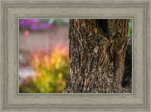 Load image into Gallery viewer, Plate 11 - Gethsemane Impression
