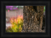 Load image into Gallery viewer, Plate 11 - Gethsemane Impression