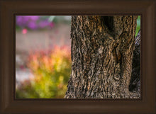 Load image into Gallery viewer, Plate 11 - Gethsemane Impression