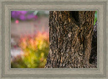 Load image into Gallery viewer, Plate 11 - Gethsemane Impression