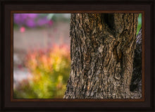 Load image into Gallery viewer, Plate 11 - Gethsemane Impression