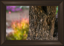 Load image into Gallery viewer, Plate 11 - Gethsemane Impression