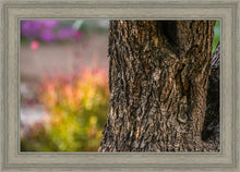 Load image into Gallery viewer, Plate 11 - Gethsemane Impression