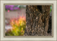 Load image into Gallery viewer, Plate 11 - Gethsemane Impression