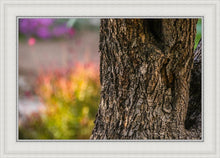 Load image into Gallery viewer, Plate 11 - Gethsemane Impression