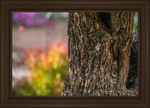 Load image into Gallery viewer, Plate 11 - Gethsemane Impression