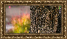 Load image into Gallery viewer, Plate 11 - Gethsemane Impression