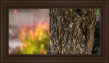 Load image into Gallery viewer, Plate 11 - Gethsemane Impression